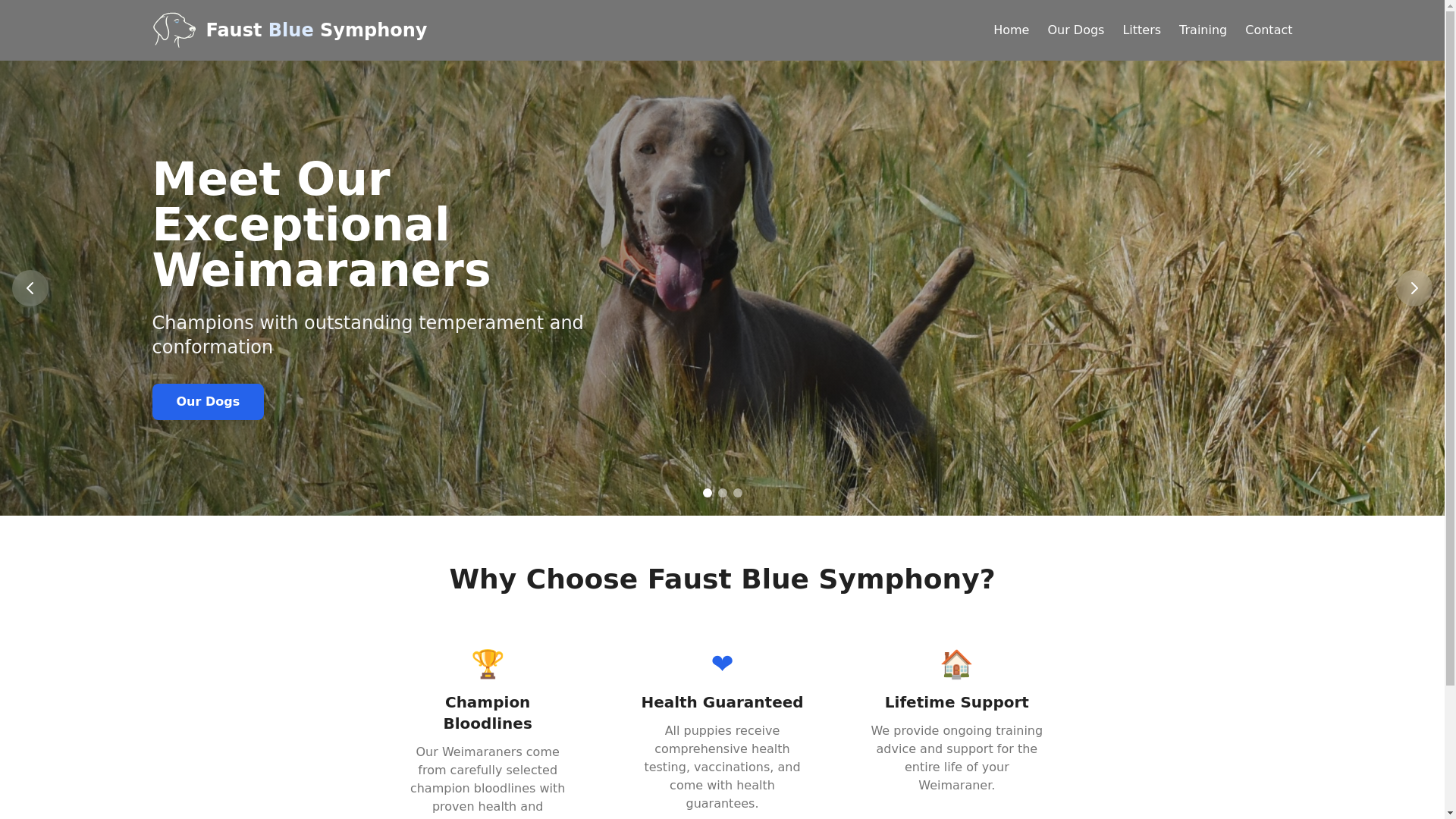 website screenshot of https://faust-blue-symphony.pages.dev/