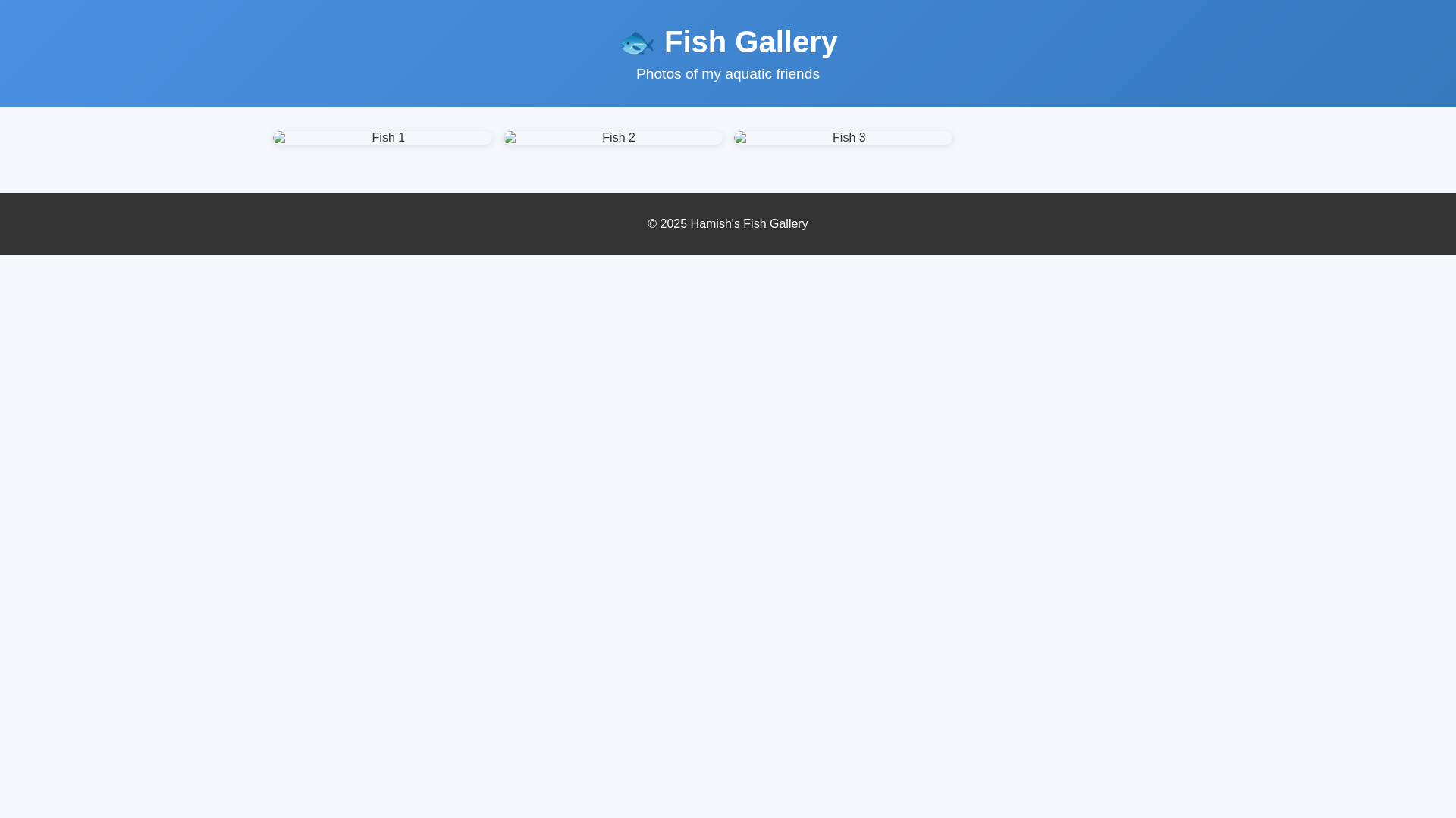 website screenshot of https://fish-site-17u.pages.dev/