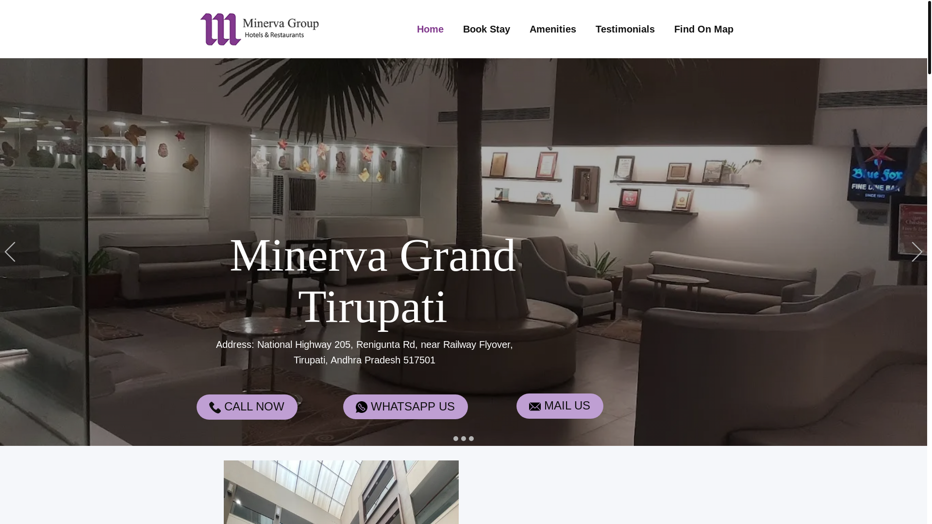 website screenshot of https://minervaagrandhotel.com/
