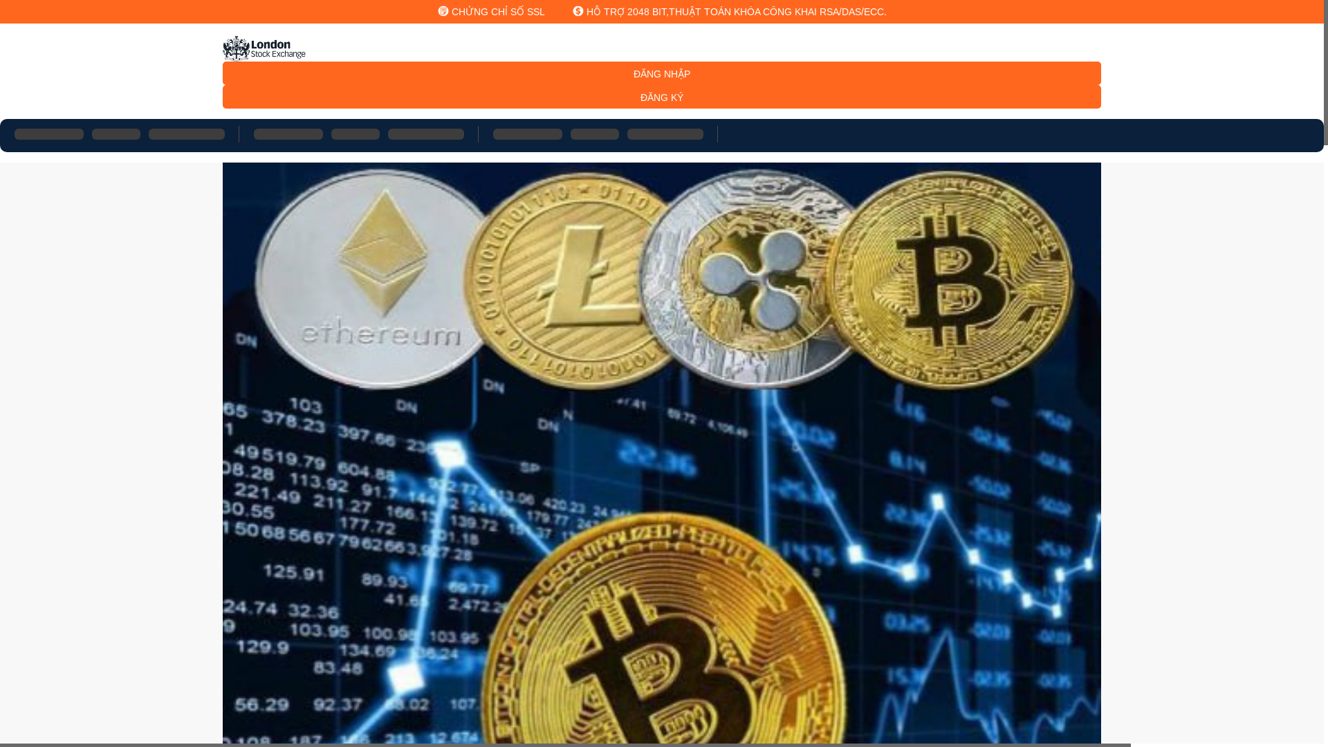 website screenshot of https://ldsstockexchange.com/