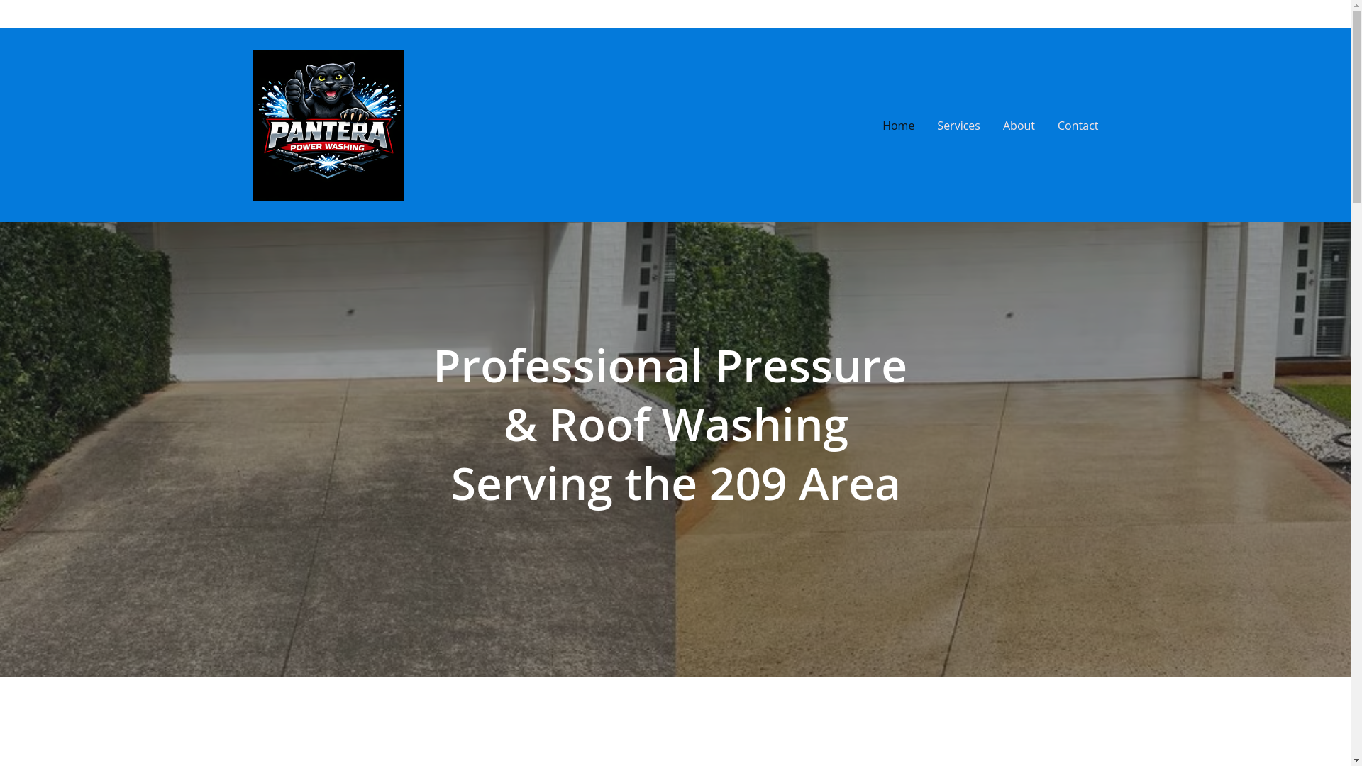 website screenshot of https://panterapowerwashing.com/