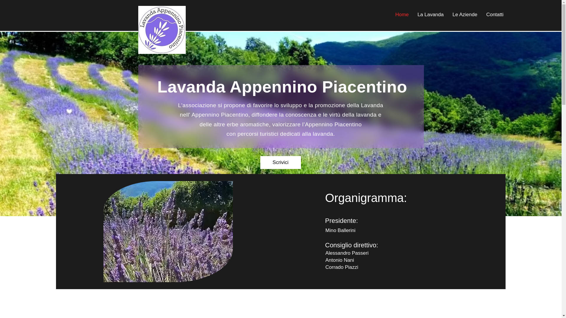 website screenshot of https://lavandaappenninopiacentino.it/