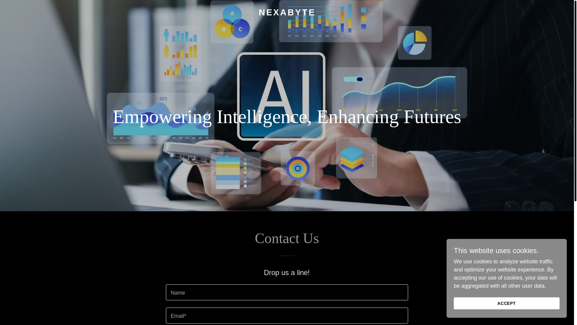 website screenshot of https://nexabyte.ai/