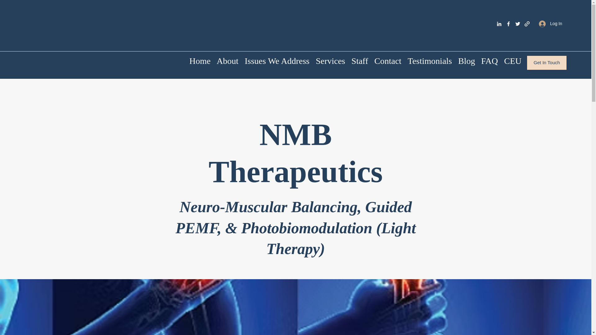 website screenshot of https://nmbtherapeutics-llp.com/