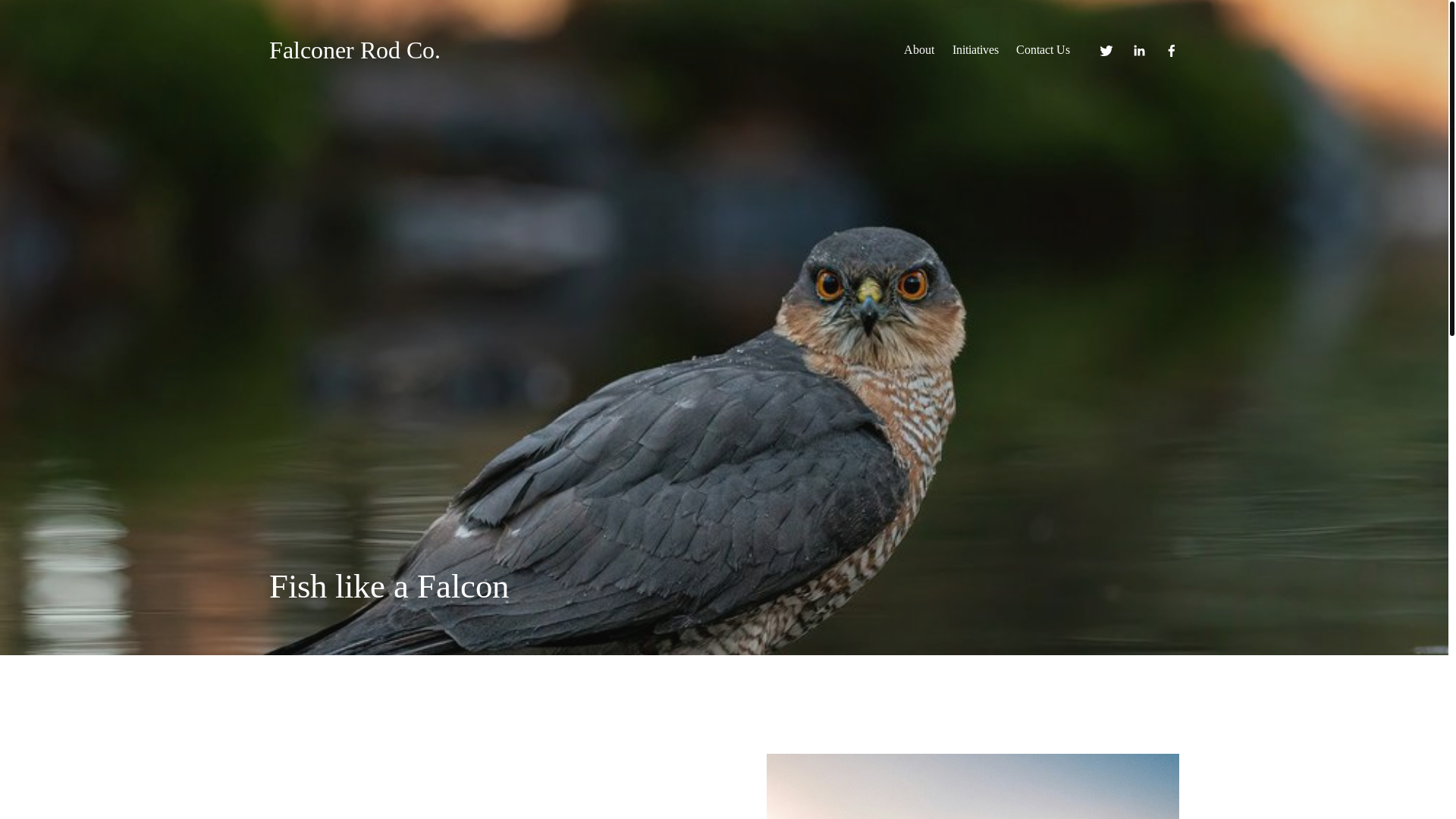 website screenshot of https://falconerrodco.ca/