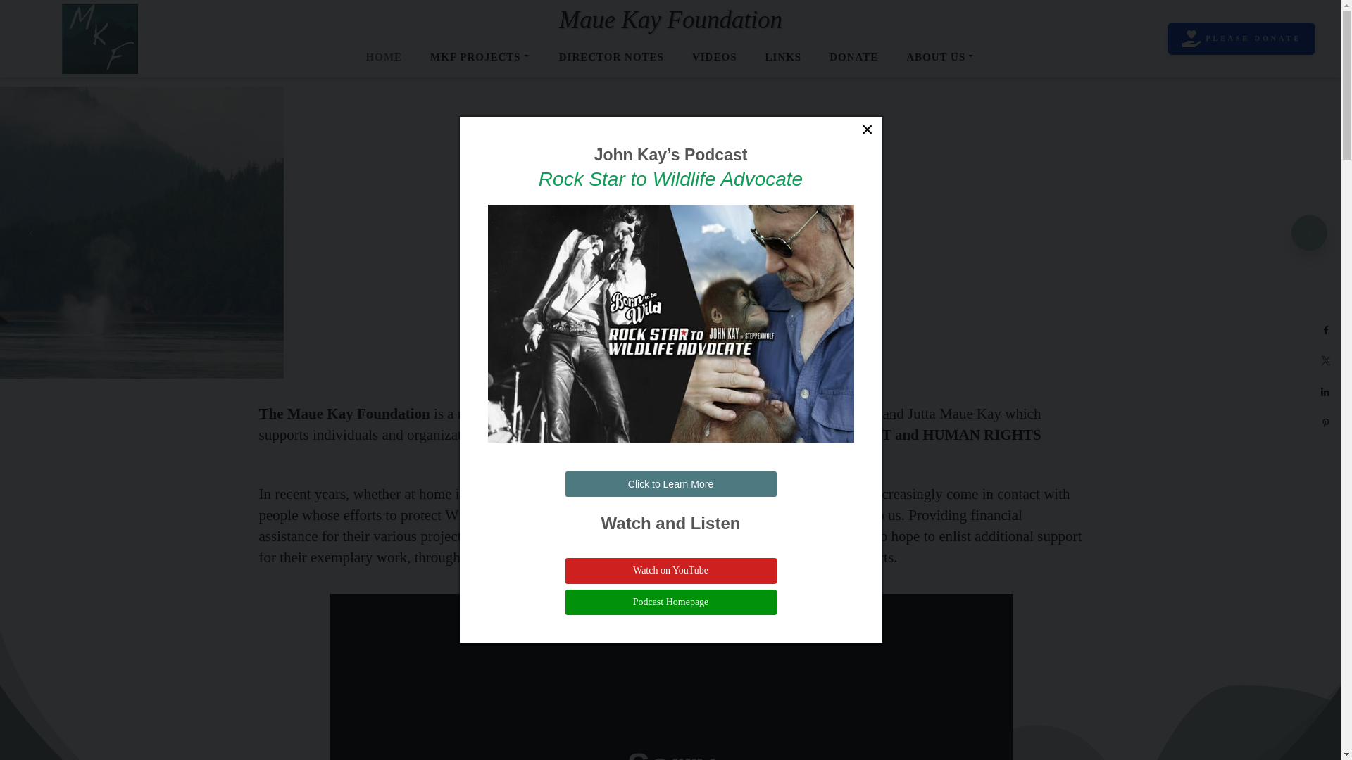 website screenshot of https://mauekay.com/