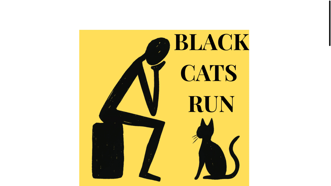 website screenshot of https://blackcatsrun.com/