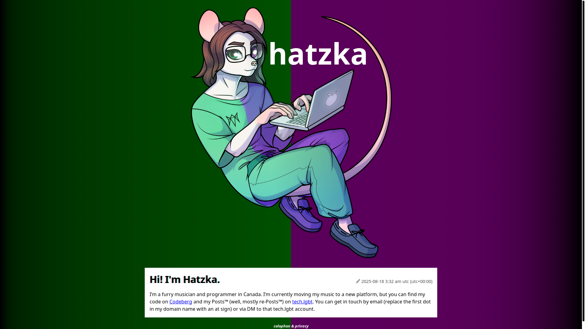 website screenshot of https://hatzka.is/