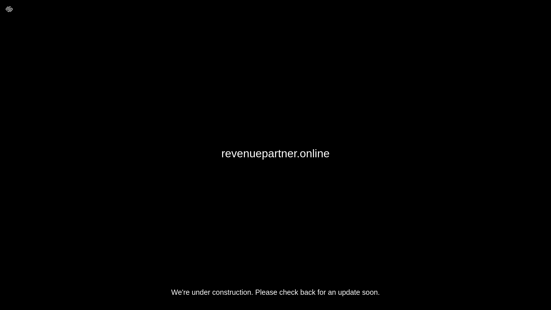 website screenshot of https://revenuepartner.online/