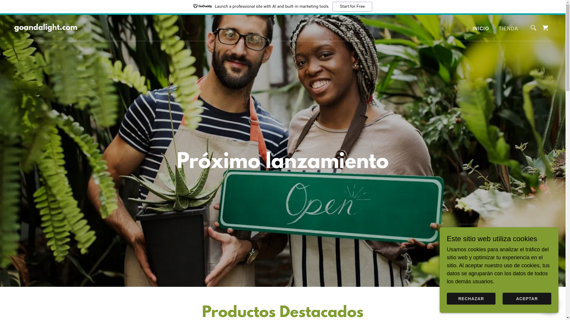 website screenshot of https://goandalight.com/