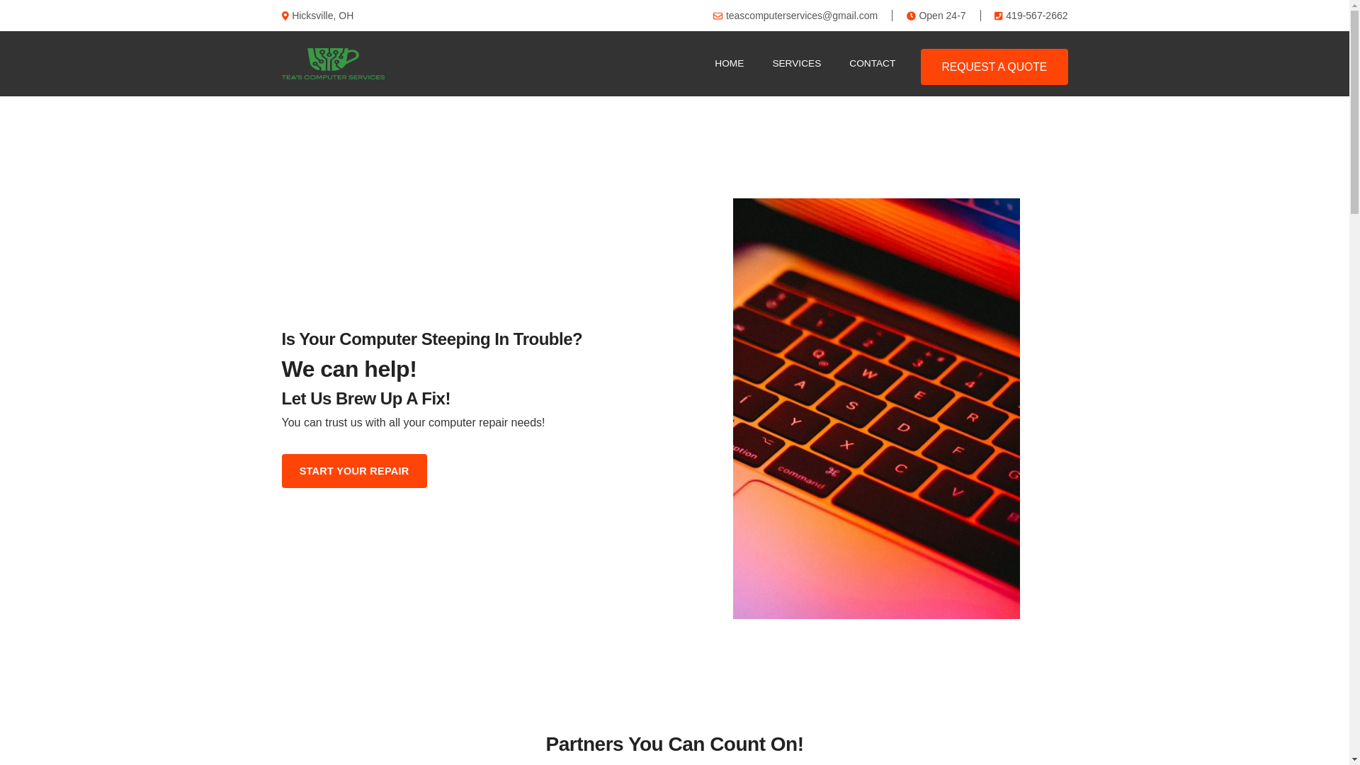 website screenshot of https://teascomputerservices.net/