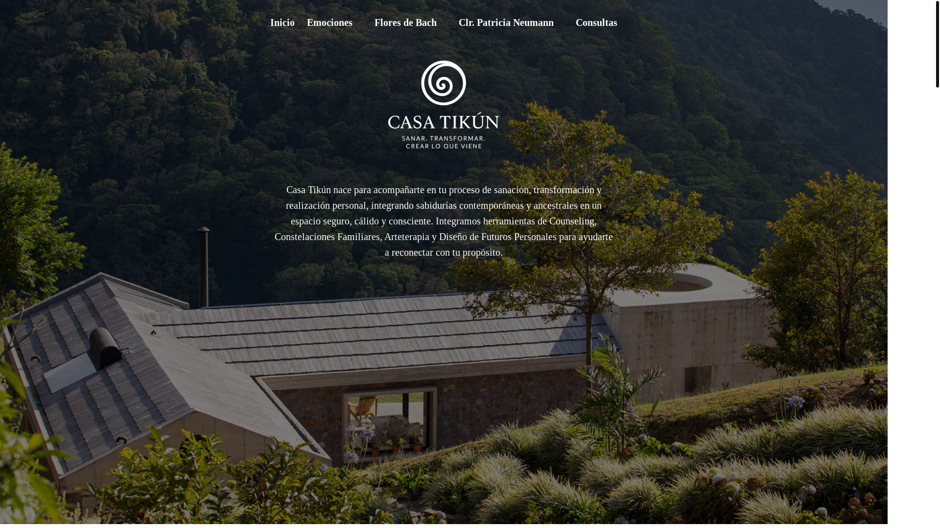 website screenshot of https://casatikun.com.ar/