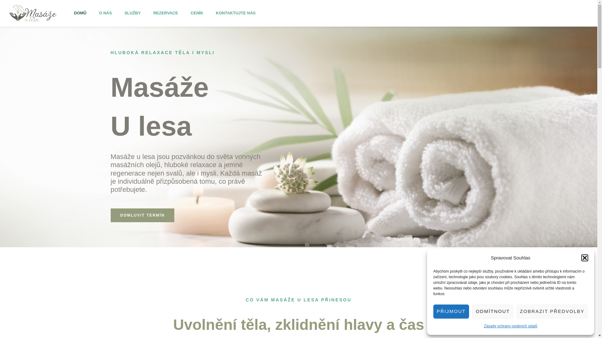 website screenshot of https://masazulesa.cz/