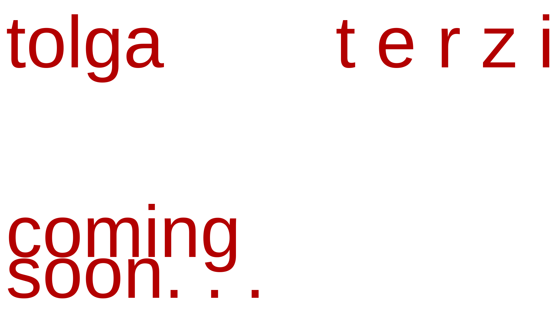 website screenshot of https://tolgaterzi.pages.dev/