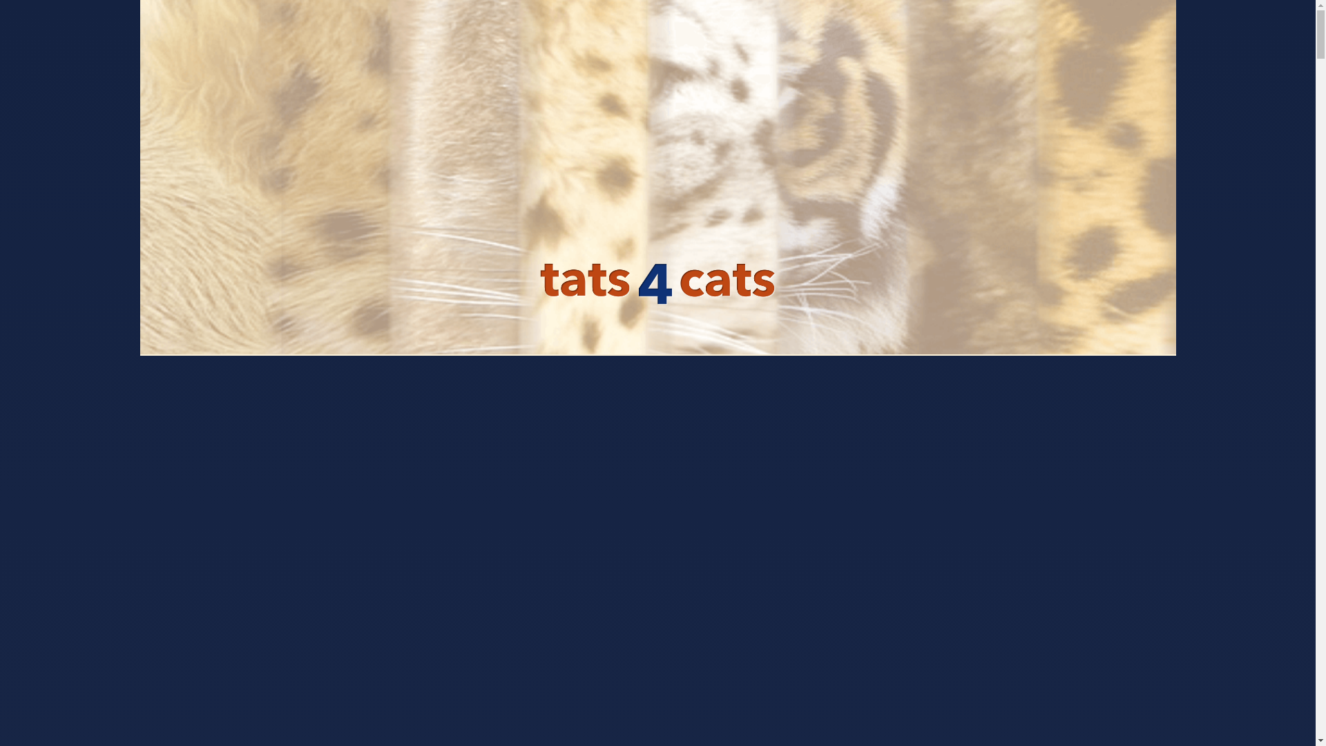 website screenshot of https://ink-tats4cats-www.pages.dev/