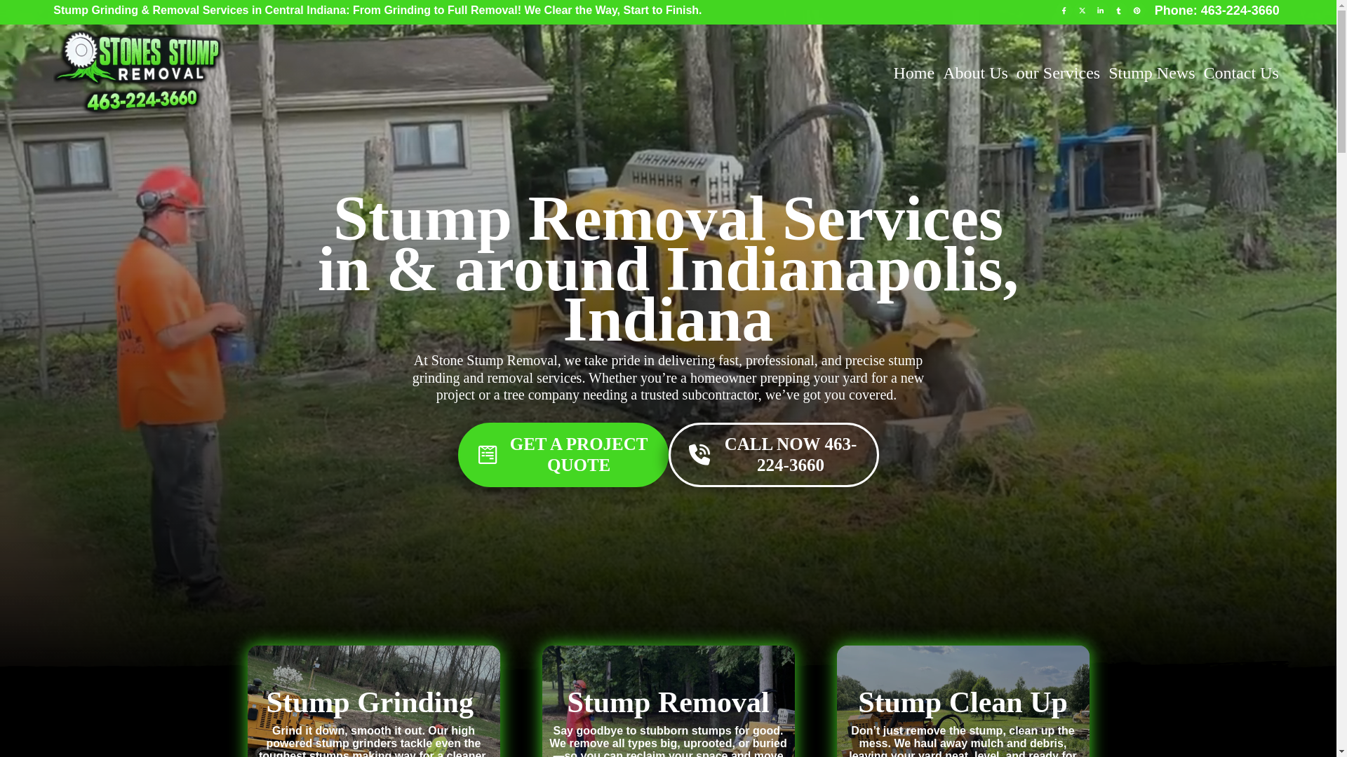 website screenshot of https://stonesstumpremoval.com/