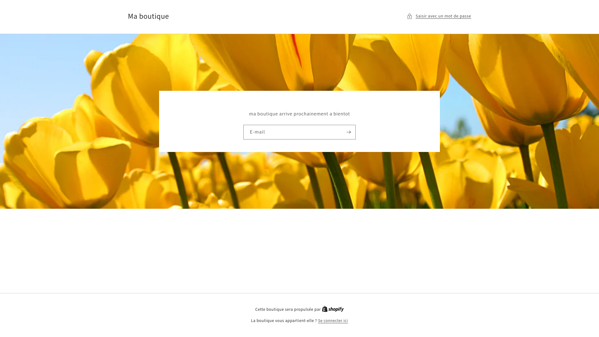 website screenshot of https://randoexploreur.com/