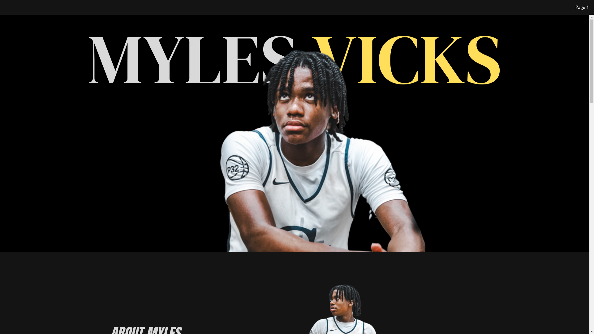 website screenshot of https://mylesvicks.com/