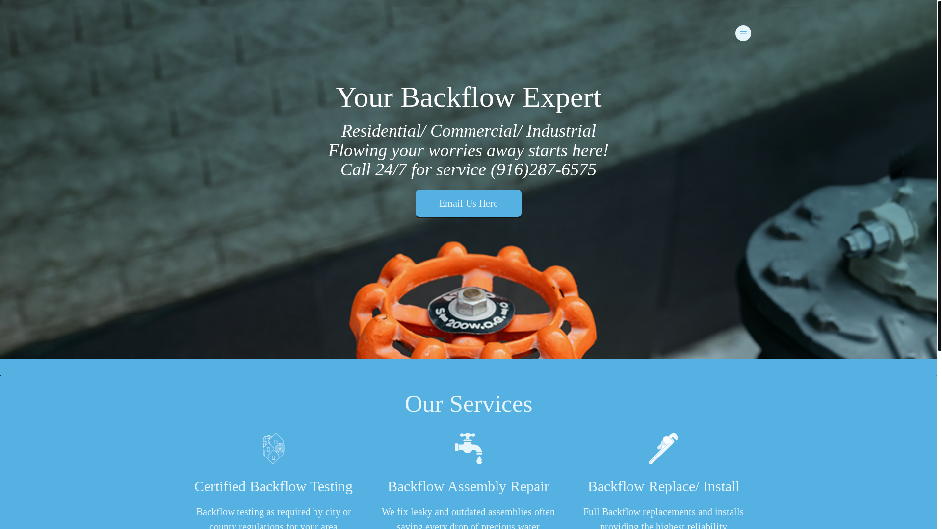 website screenshot of https://flowfinebackflow.com/