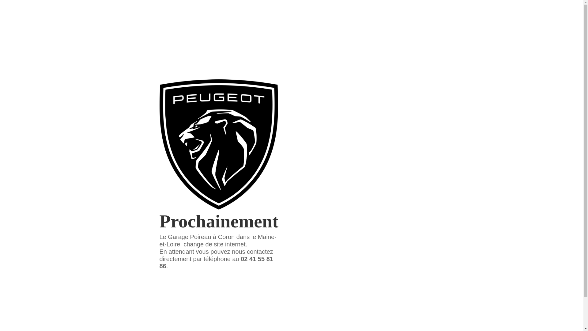 website screenshot of https://garagepoireau.fr/