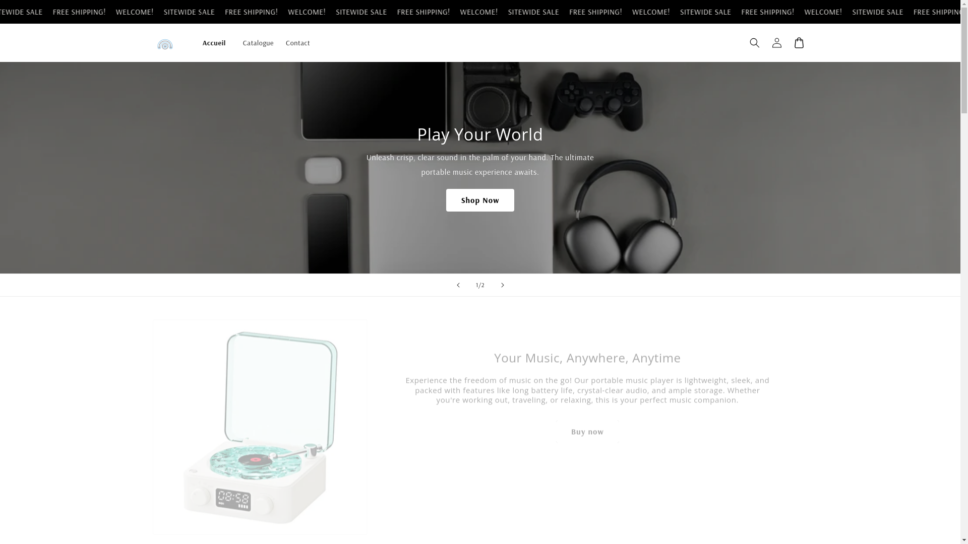website screenshot of https://electroproject.store/