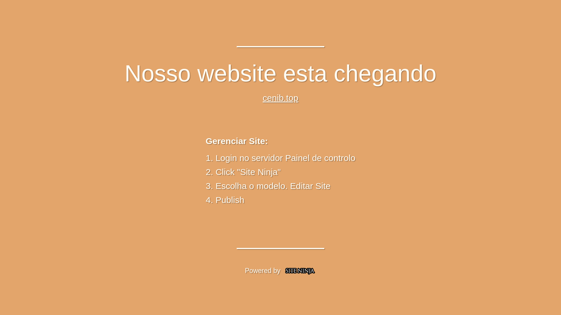 website screenshot of https://cenib.top/