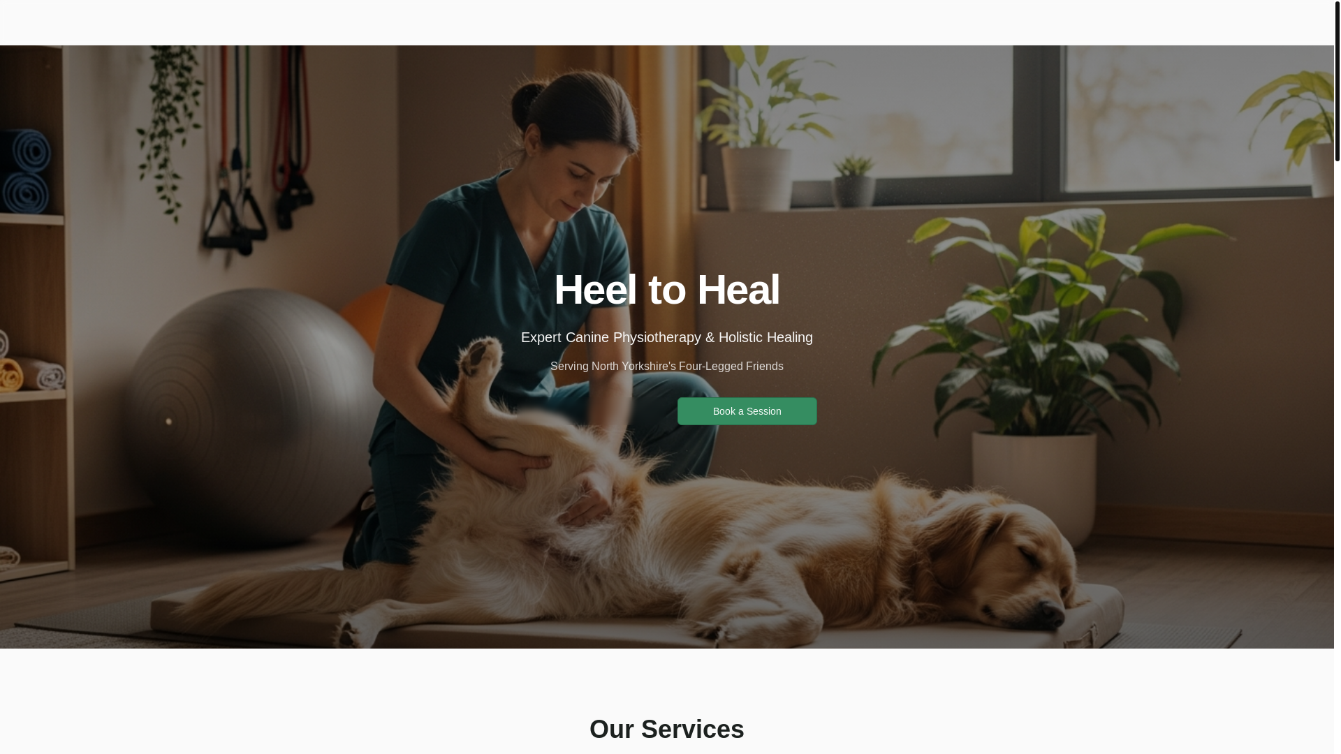 website screenshot of https://heeltoheal.net/