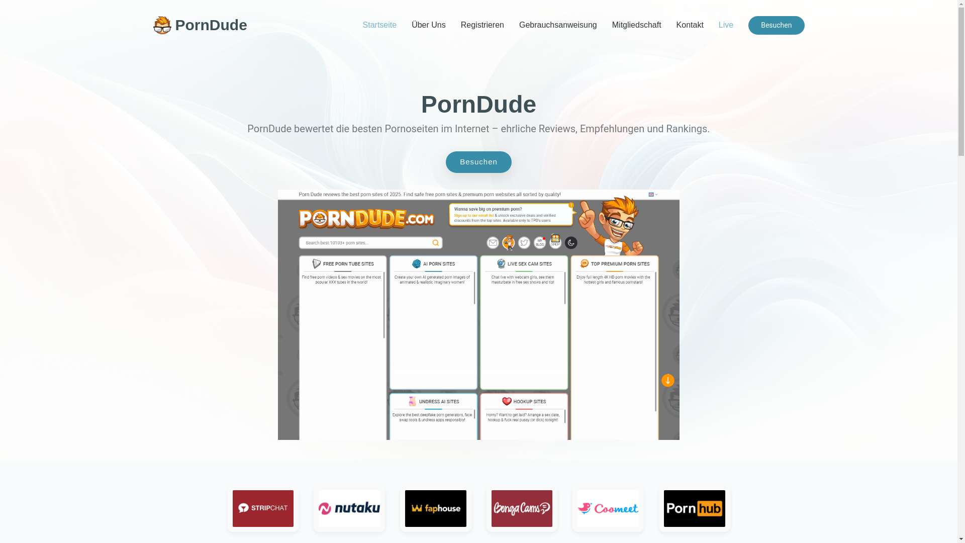 website screenshot of https://theporndude-german.com/