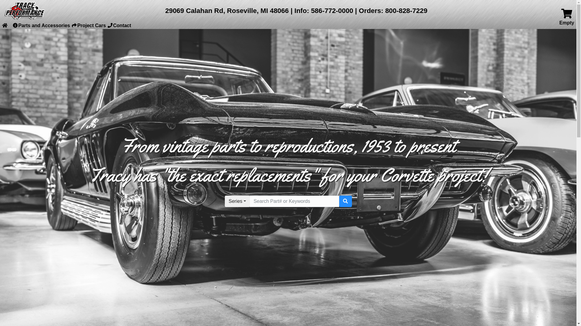 website screenshot of https://store.tracyvette.com/