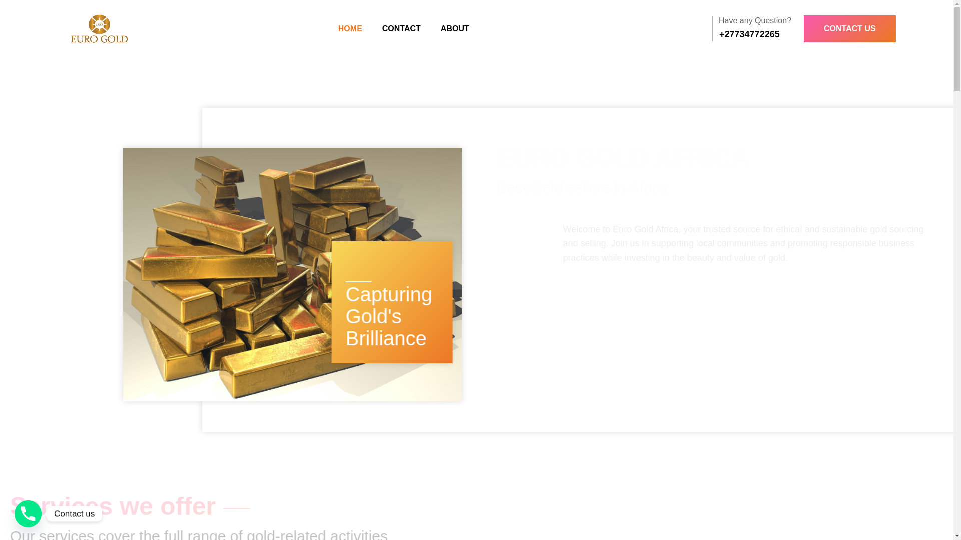 website screenshot of https://eurogoldafrica.com/