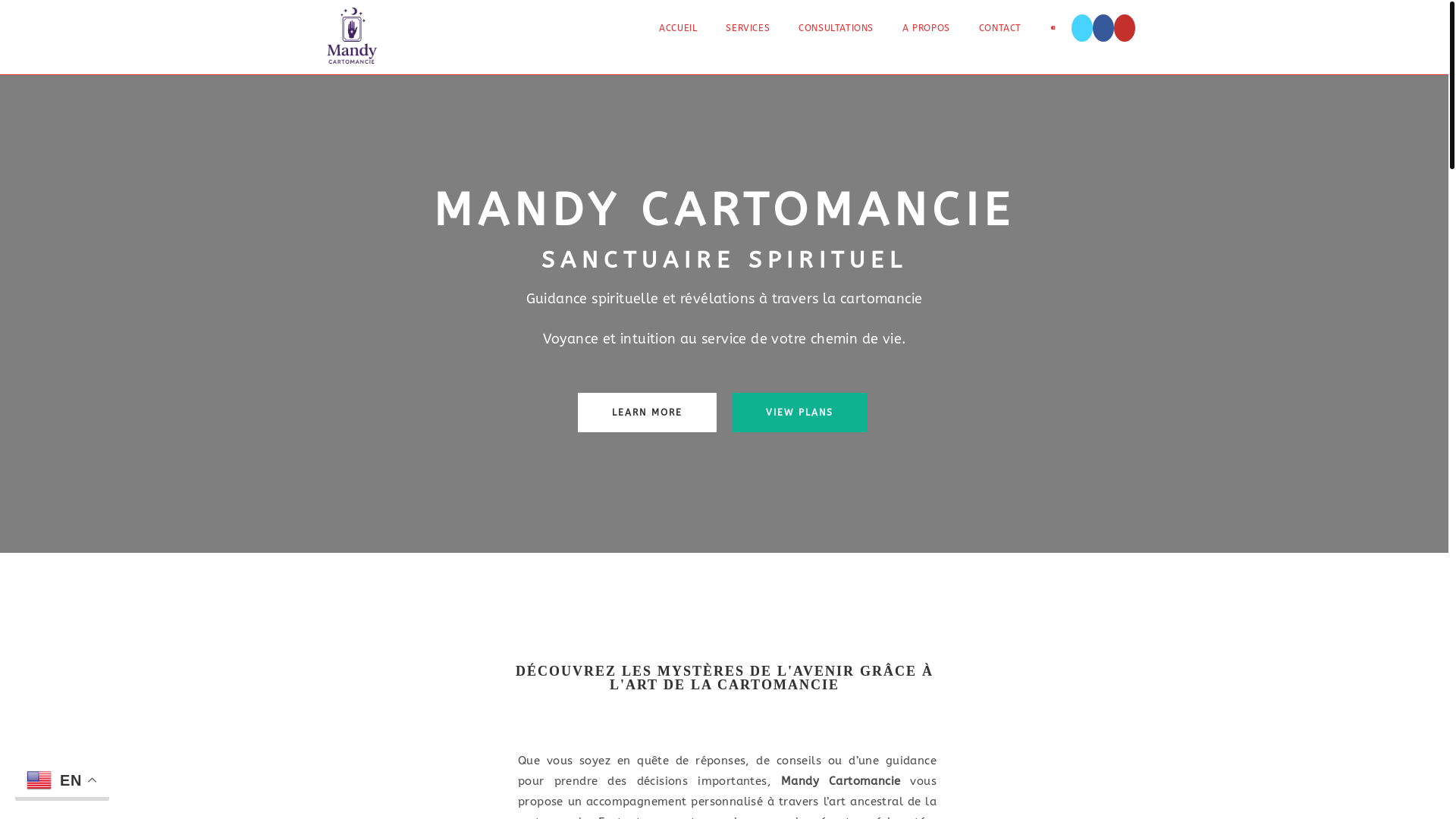 website screenshot of https://mandycartonmancie.com/