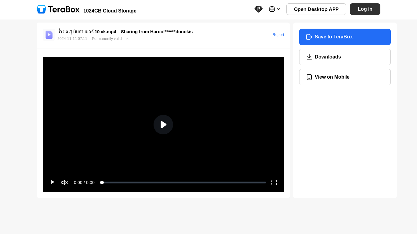 website screenshot of https://terabox.app/s/1oPKklNeZ51x8NKNk7OAryw