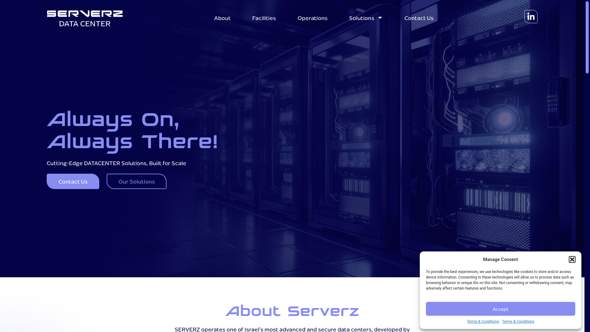website screenshot of https://serverz.co.il/