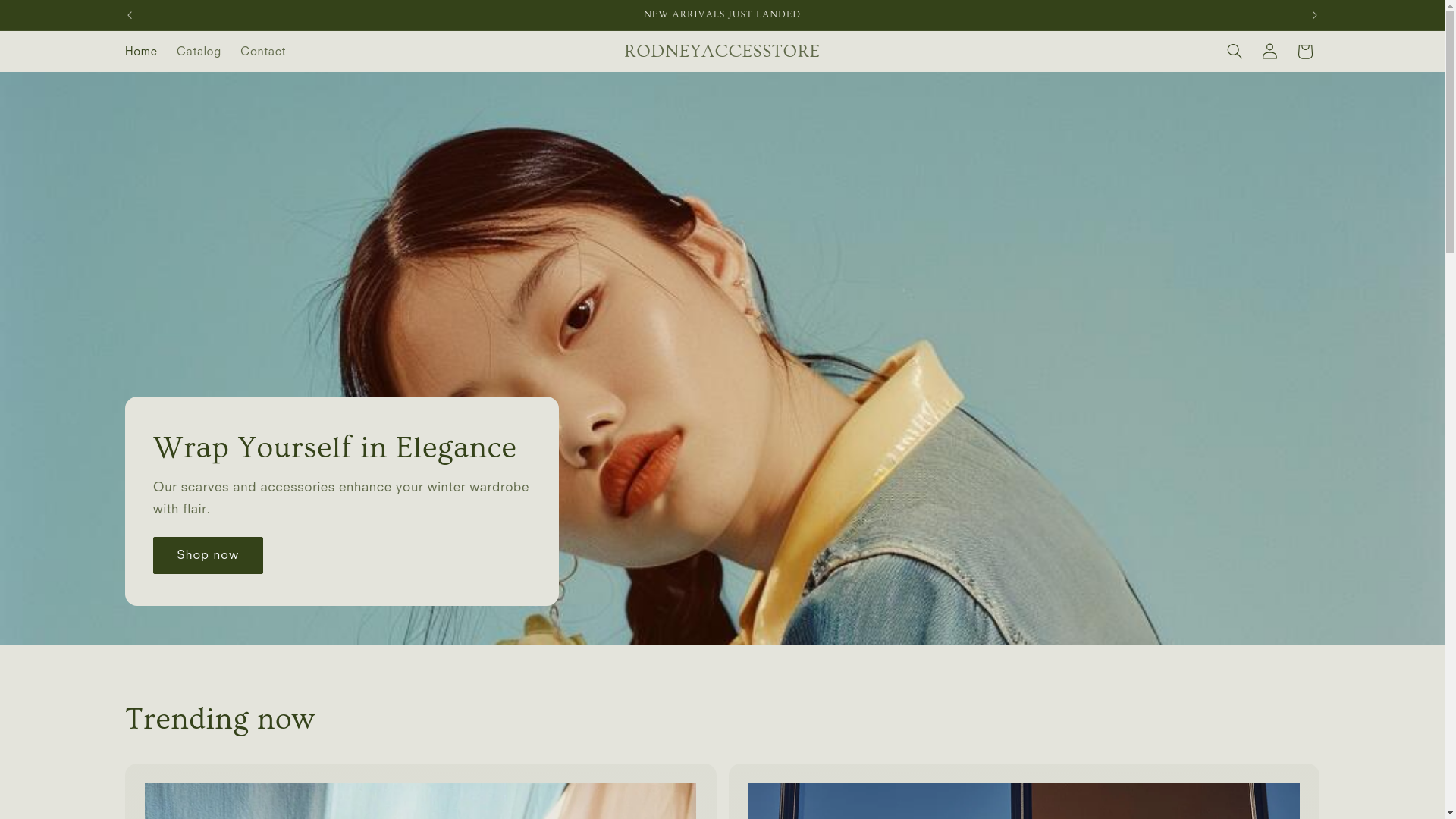 website screenshot of https://rodneyaccesstore.space/
