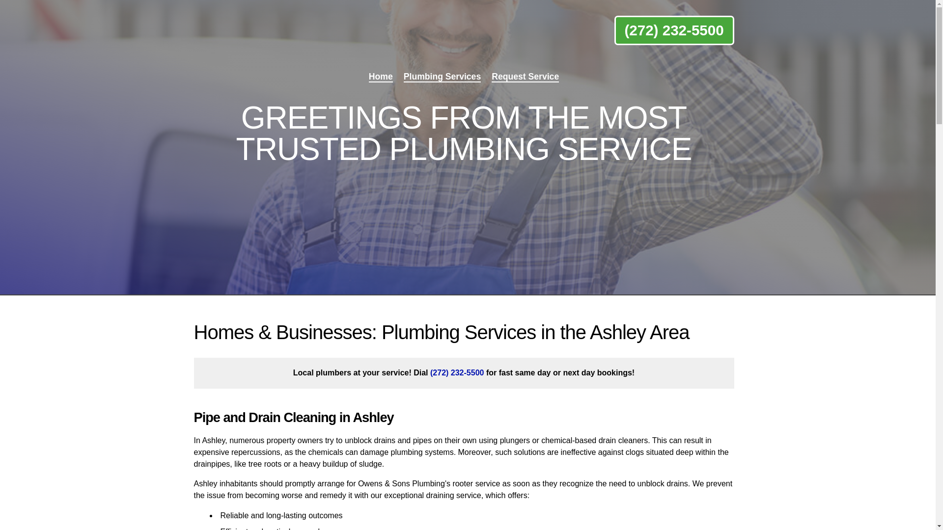 website screenshot of https://owens-sonsplumbingpa.pro/