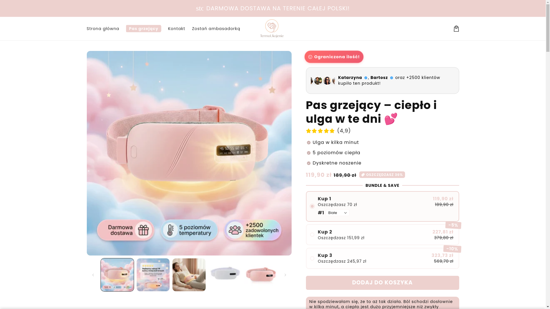 website screenshot of https://termoukojenie.pl/