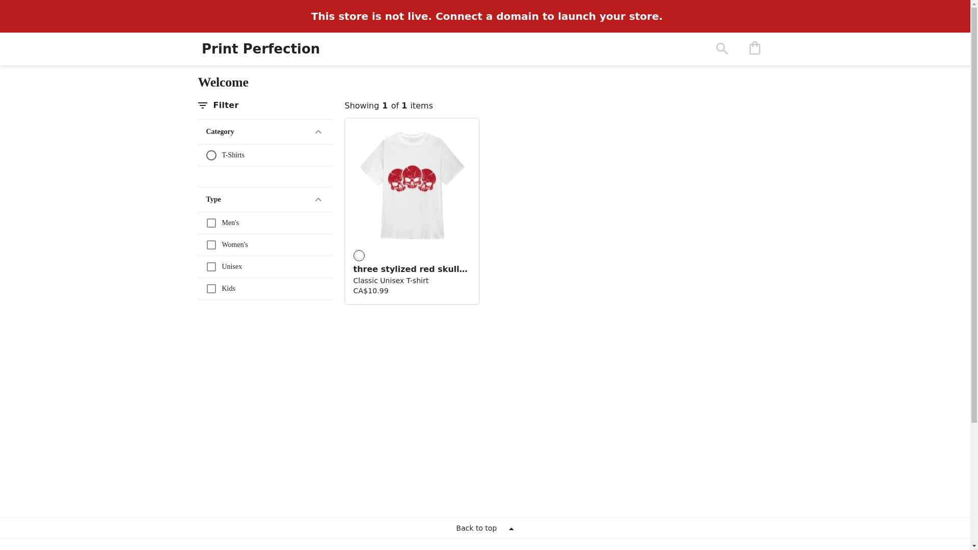 website screenshot of https://printperfection.tech/