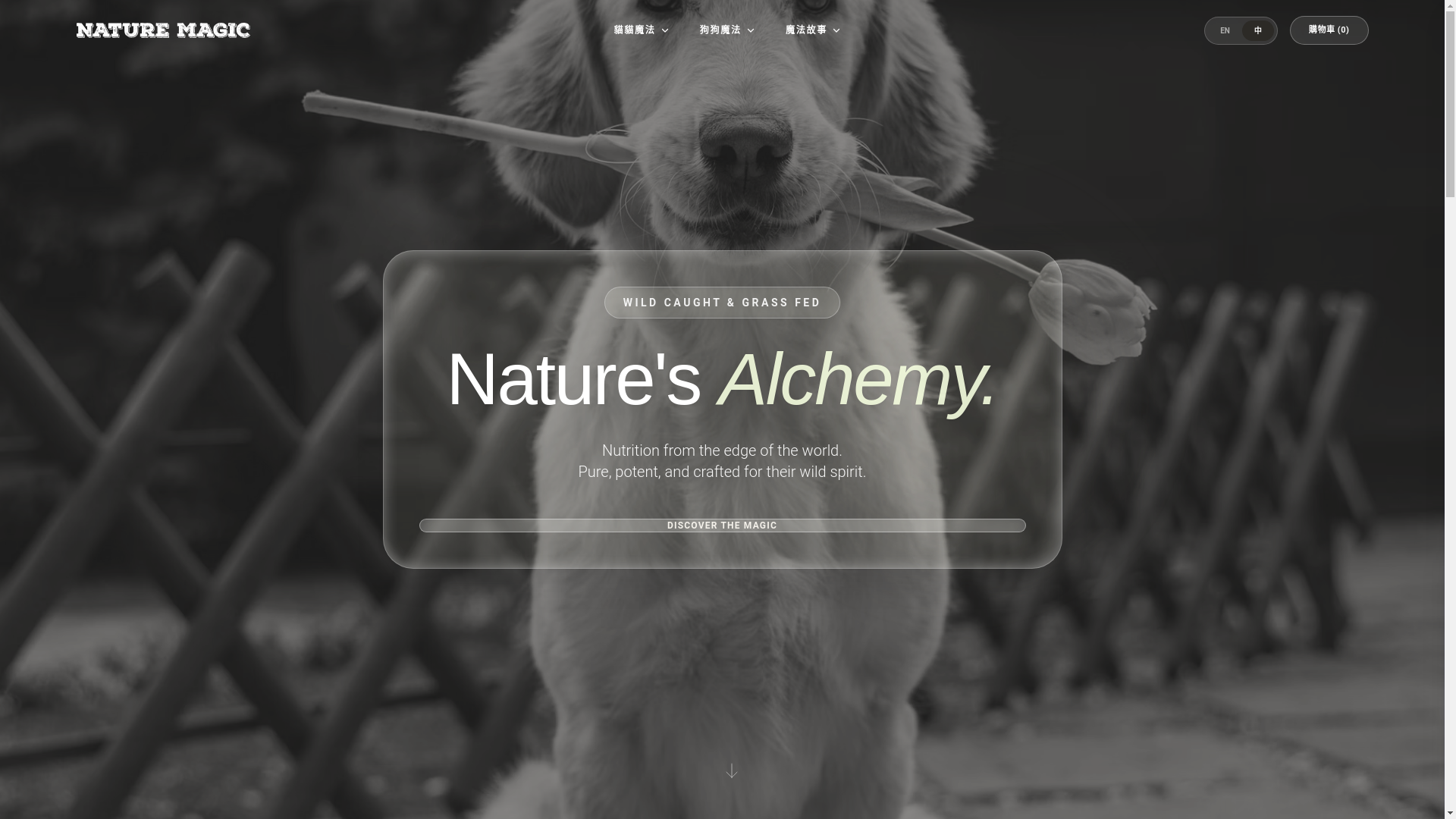 website screenshot of https://naturemagic.pages.dev/