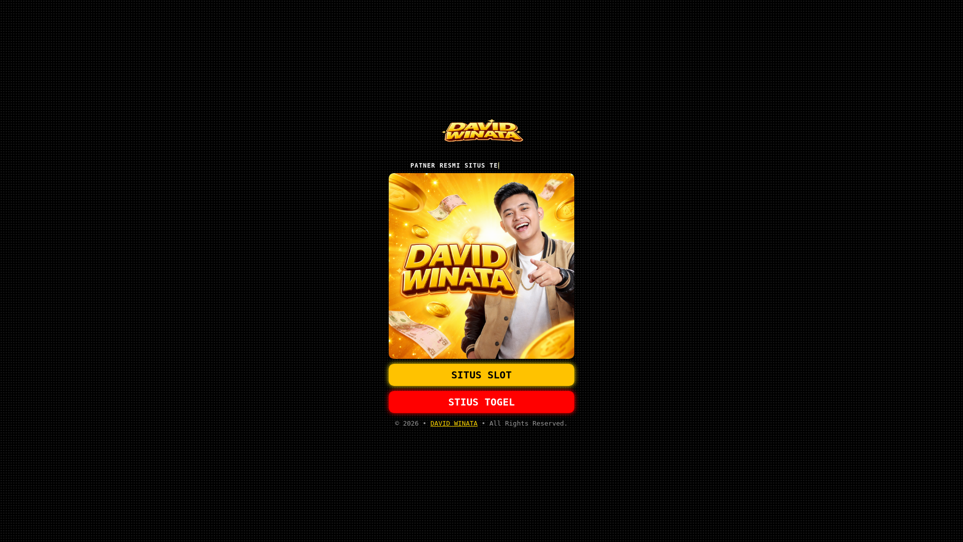 website screenshot of https://davidwinata.pages.dev/