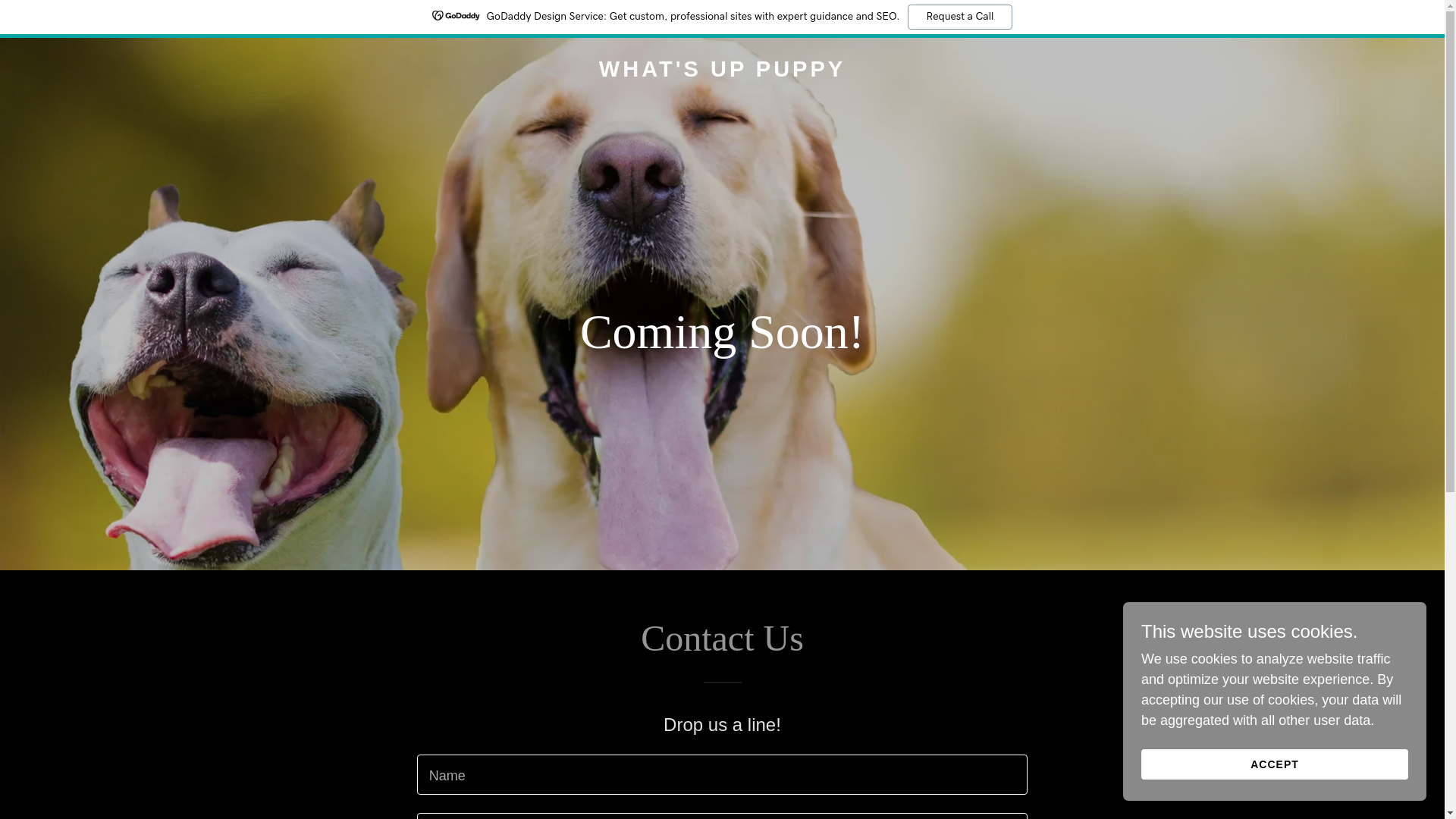 website screenshot of https://whatsuppypuppy.com/