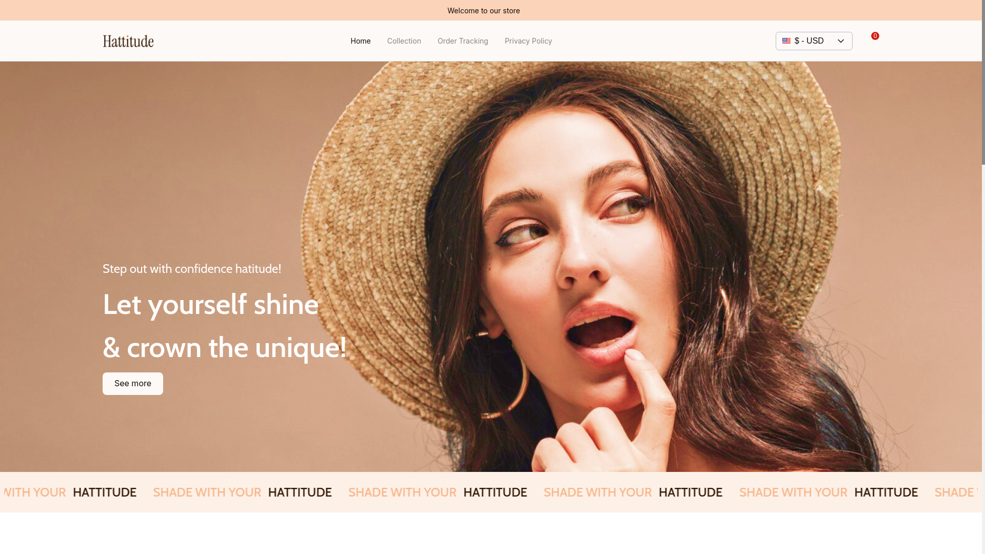 website screenshot of https://catinausa.com/