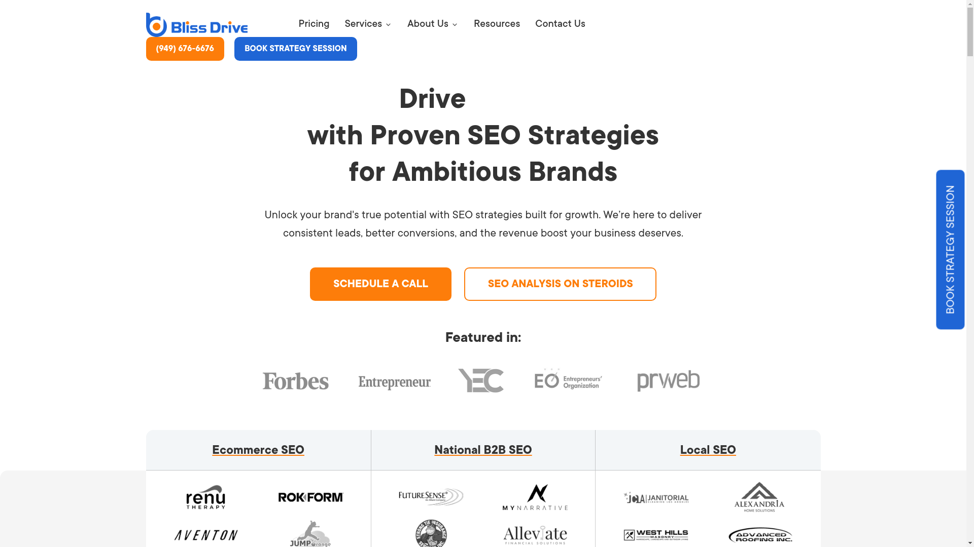 website screenshot of https://blissdrivesmart.com/